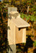 Western Bluebird Bird House - Solid Cypress