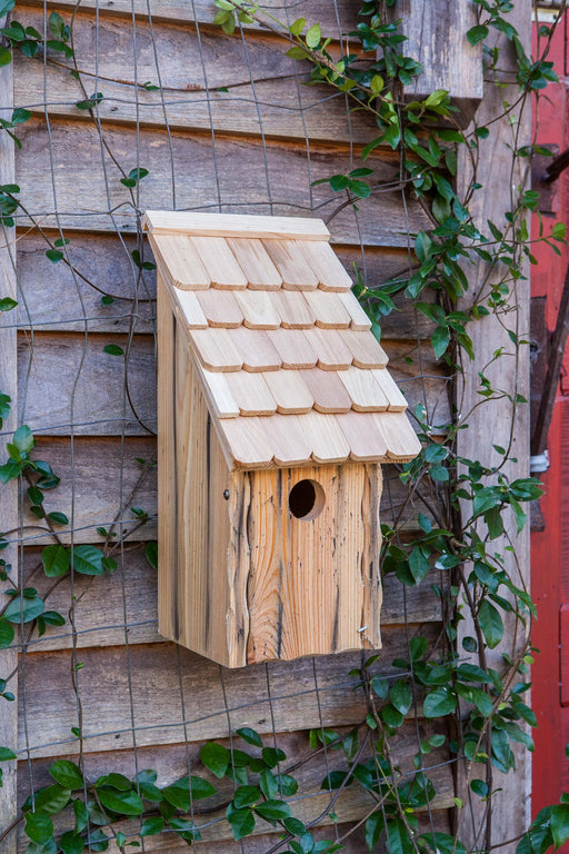 Bluebird Bunkhouse Bird House  - Natural