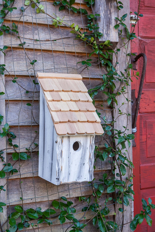 Bluebird Bunkhouse  Bird House - White