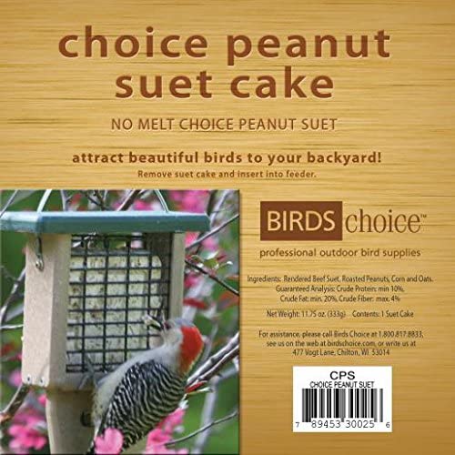 Naturesroom Poly-Lumber Prop Suet Feeder for Birds - Include 2 Bonus Suet Cake Cage Feeder Packs -Premium Insect and Peanut Suet Cakes for Feeder Basket Holder