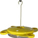 Butterfly Fruit & Wick Feeder - The Bird Shed