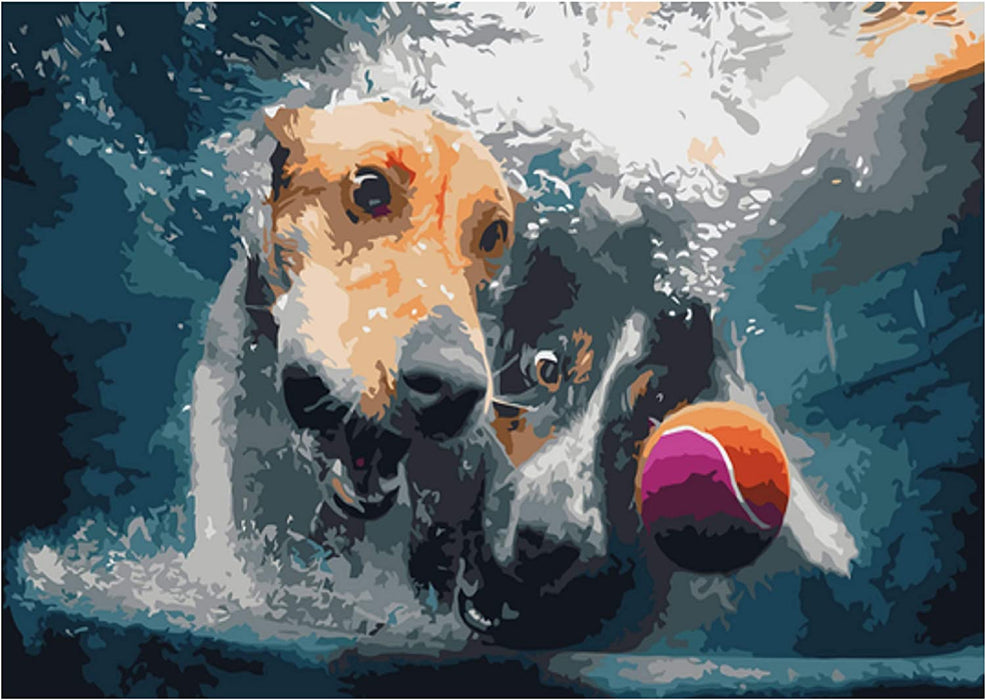 Paint by Numbers for Adults - Underwater Dogs Artist Photo Series Paint by Number Kit with Acrylic Paints, Brushes Canvas - Beginner DIY Painting by