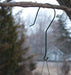 12" Branch Hook - The Bird Shed