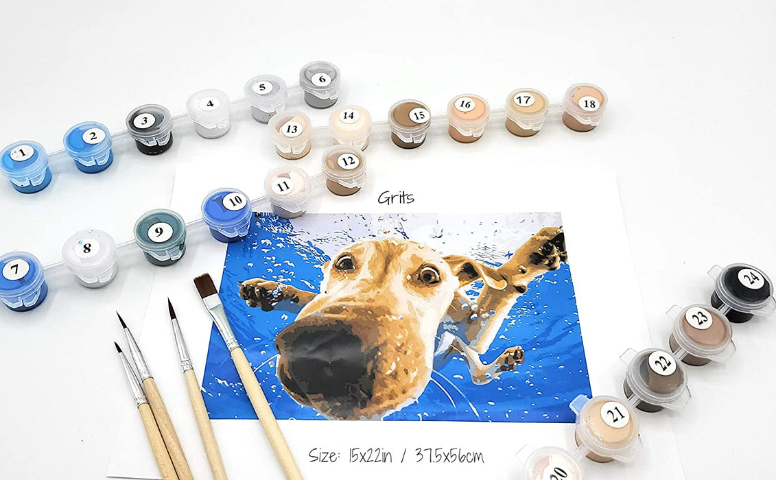 Naturesroom Paint by Numbers for Adults - Underwater Dogs Artist Photo Series Paint by Number Kit with Acrylic Paints, Brushes Canvas - Beginner DIY Painting by Numbers for Adults and Kids