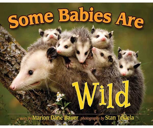 Some Babies Are Wild
