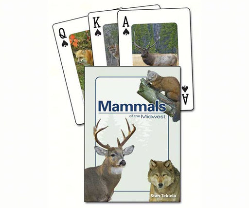 Mammals of the Midwest Playing Cards