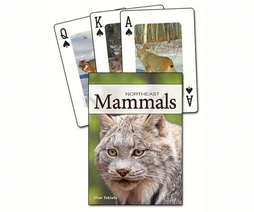 Mammals of the Northeast Playing Cards