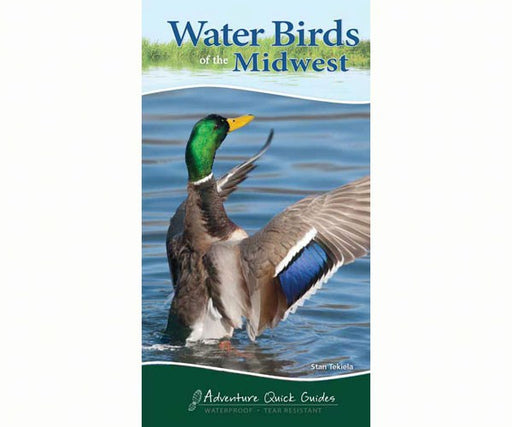 Water Birds of the Midwest Quick Guide
