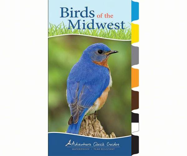Birds of the Midwest Quick Guide