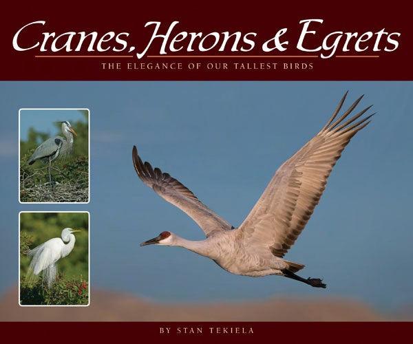 Cranes, Herons and Egrets