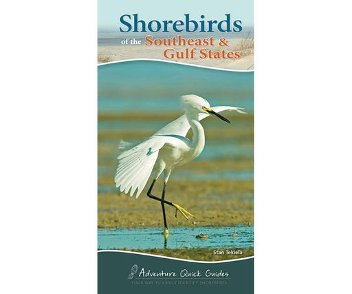 Shorebirds of the Southeast and Gulf States