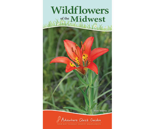 Wildflowers of Midwest Quick Guide
