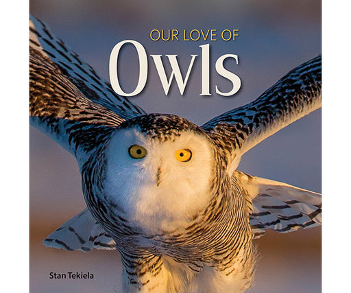 Our Love of Owls