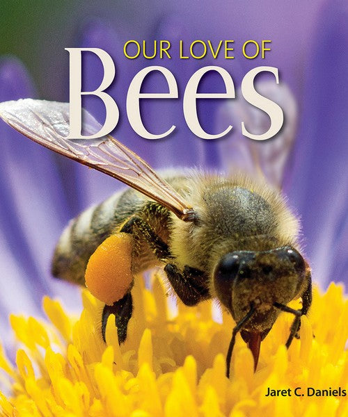 Our Love of Bees