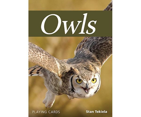 Owls Playing Cards