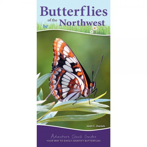 Butterflies of the Northwest by Janet C Daniels
