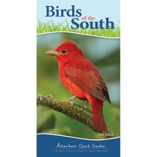 Birds of the South