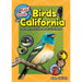The Kids Guide to Birds of California