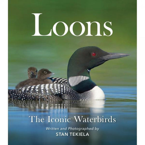 Loons