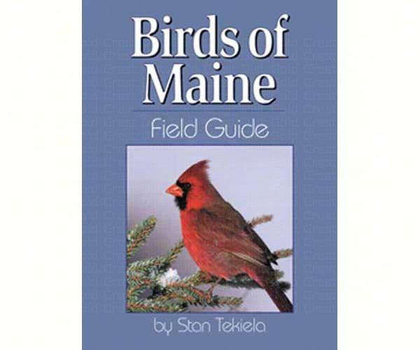 Birds of Maine Field Guide