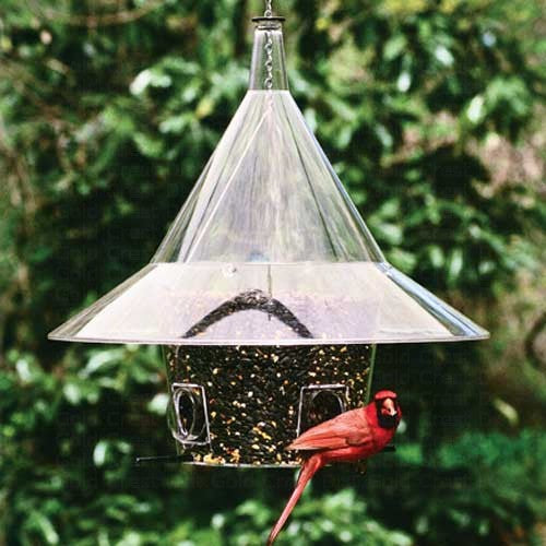 Mandarin Feeder with Arch Ports and Clear Baffle, bird feeder with dome