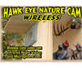 Hawk-Eye Wireless Spy Camera, camera bird feeder 