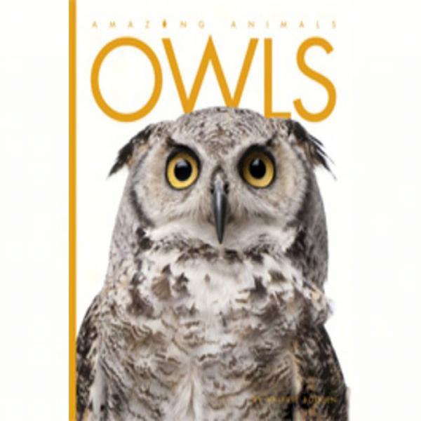 Amazing Animals Owls