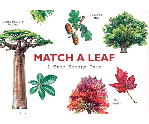 Match a Leaf Memory Game