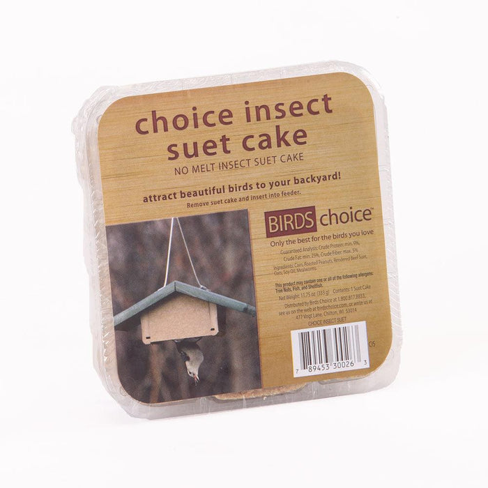 CHOICE INSECT SUET CAKE