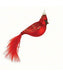 Cardinal with Feather Tail Ornament