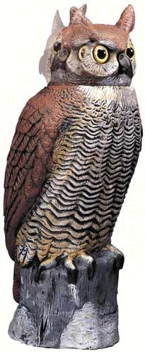 Owl with Rotating Head