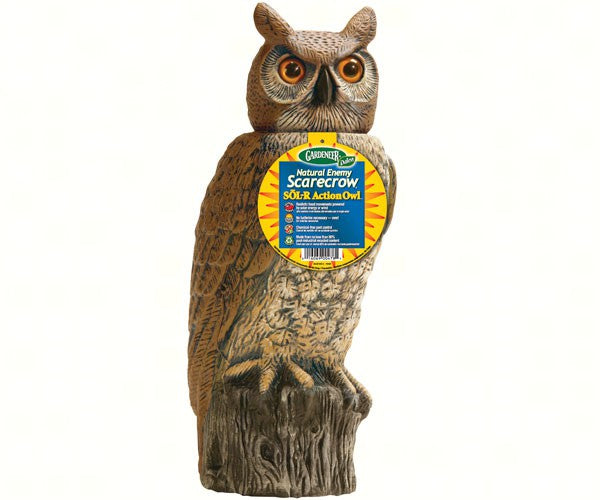 Solar Activate 18 inch Owl