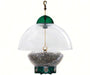 Big Top Bird Feeder Green, bird feeder with dome