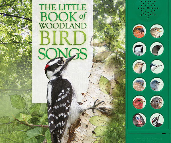 The Little Book of Woodland Bird Songs by Andrea Pinnington