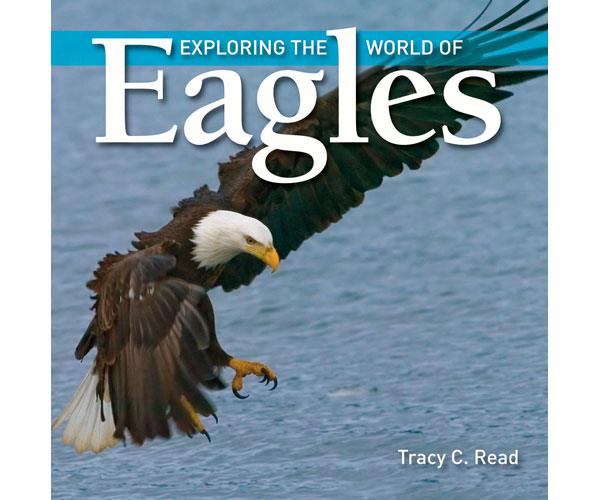 Exploring The World of Eagles by Tracy C Read