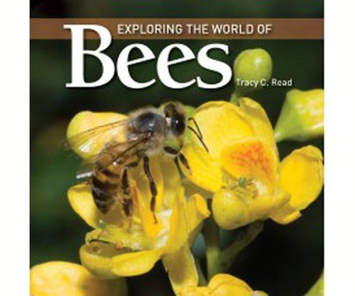 Exploring the World of Bees by Tracy Read