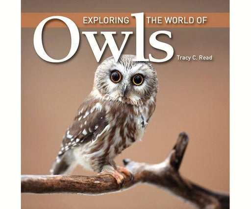 Exploring the World of Owls by Tracy