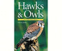 Hawks and Owls of Eastern North America by Chris Earley