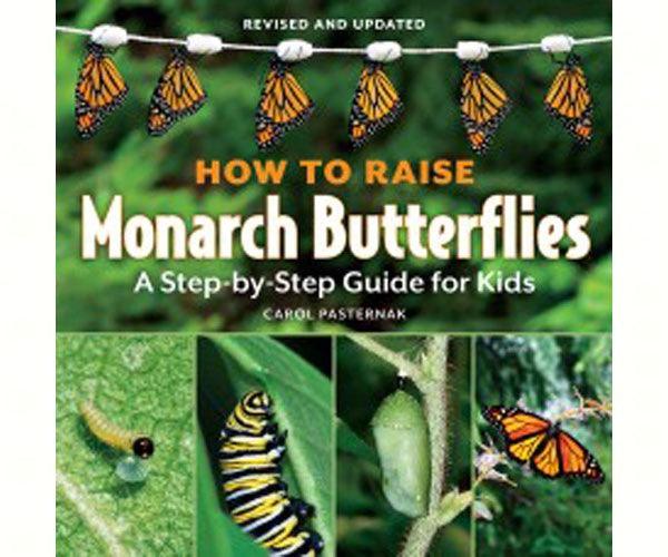 How to Raise Monarch Butterflies For Kids by Carol Pasternak