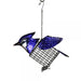 Blue Jay Suet Feeder