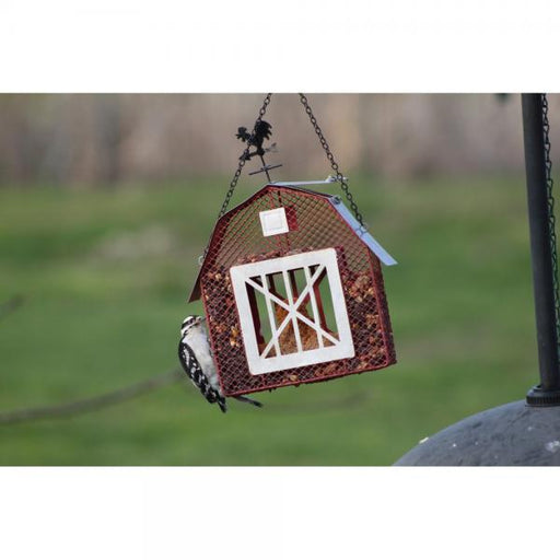 Mesh Barn Seed and Suet Feeder