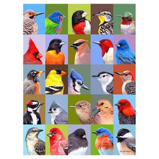 Backyard Bird Friends 1000 Piece Puzzle