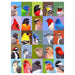 Backyard Bird Friends 1000 Piece Puzzle