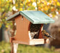 Going Green™ Small Ranch Feeder - The Bird Shed