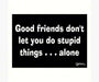 Magnet, Humorous Sayings, Good friends don't let you do stupid things...alone