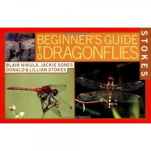 Beginners Guide to Dragonflies