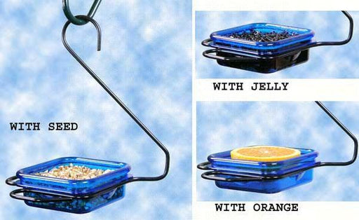 Hanging Jelly & Mealworm feeder