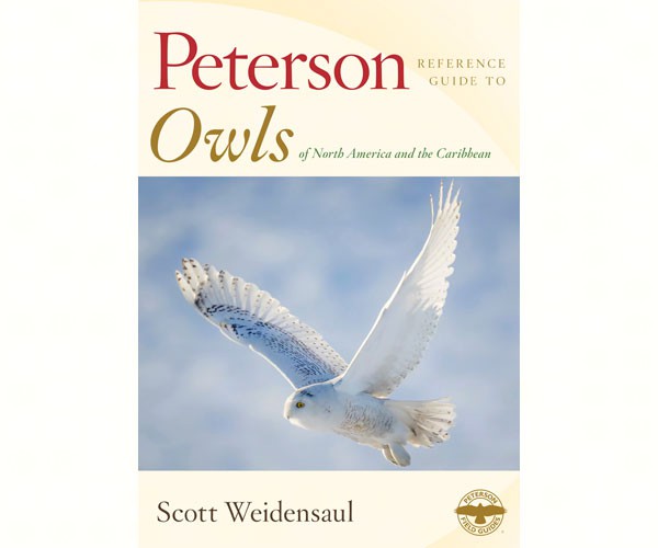 Peterson Owls of North America