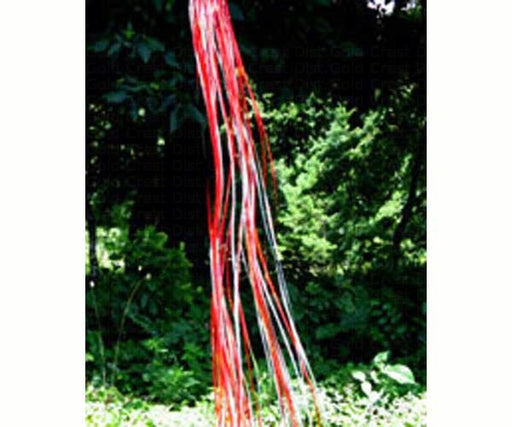 Rainbow Windsock Red Silver