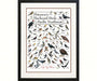 Petersons Backyard Birds of Pacific Northwest Poster